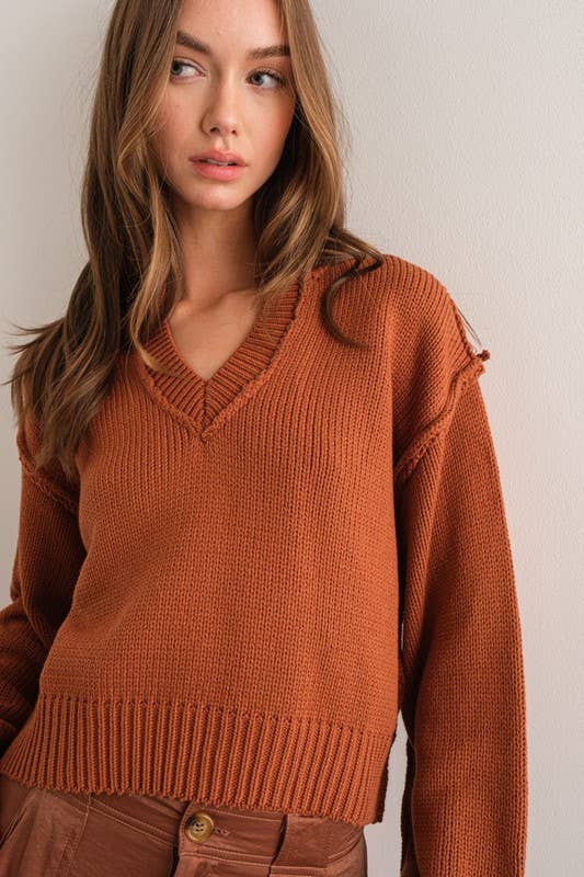 Cafe V-Neck Sweater Top